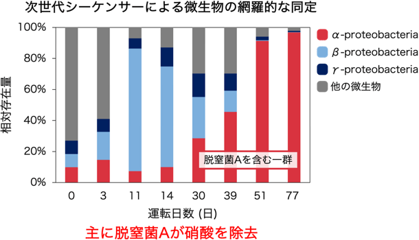 図3 微生物解析の結果