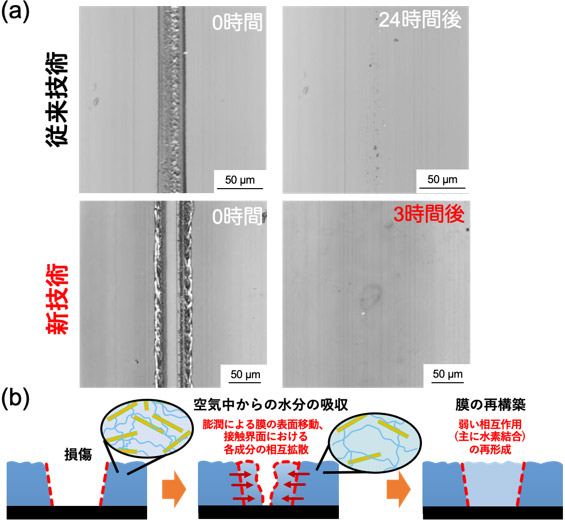 図3 (a) 従来技術（上）および新技術（下）で作製したナノコンポジット皮膜の表面につけた傷の修復過程を示す光学顕微鏡像および (b) ナノコンポジット皮膜の自己修復推定メカニズム