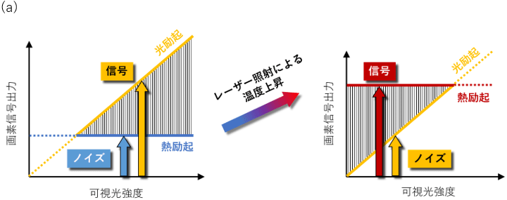 図1 (a) 本研究のコンセプト（半導体撮像素子における信号とノイズの関係　左図：通常の可視光検出時、右図：本研究における中赤外線検出時）、 (b) 中赤外線レーザーのビーム径計測メカニズム