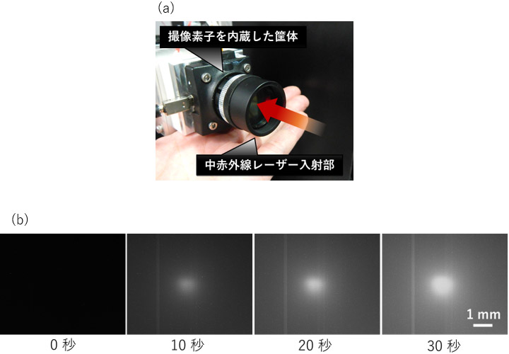 図2 (a) 開発した中赤外線レーザーのビーム径計測装置の外観　(b) 中赤外線レーザーの照射によって得られた熱励起電子分布