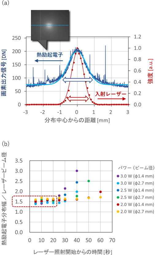 図3 (a) 熱励起電子（青：左軸、DN：Digital Number）と入射レーザー強度（赤：右軸）の分布幅の比較、 (b) レーザービーム径に対する熱励起電子分布幅の比とレーザー照射時間の関係