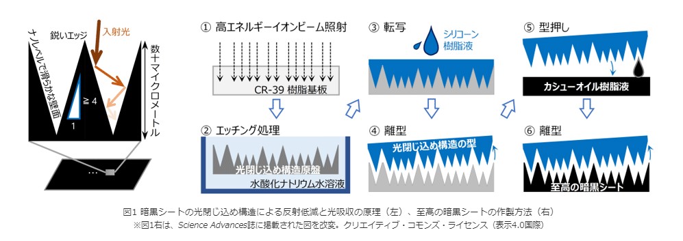 図1　暗黒シートの光閉じ込め構造による反射低減と光吸収の原理（左）、至高の暗黒シートの作製方法（右）