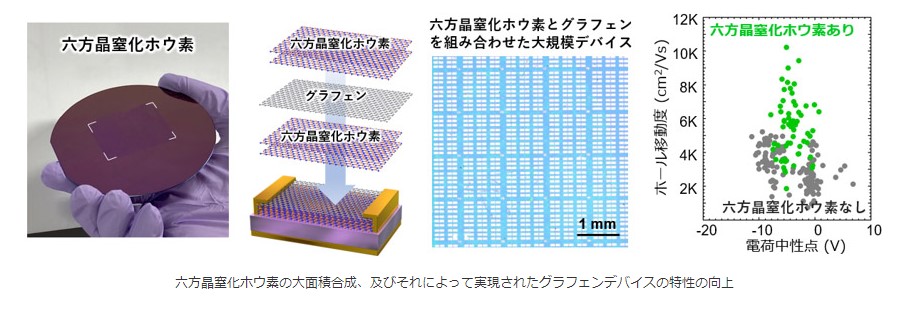 六方晶窒化ホウ素の大面積合成、及びそれによって実現されたグラフェンスデバイスの特性の向上