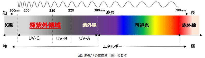 図2　波長ごとの電磁波（光）の名称