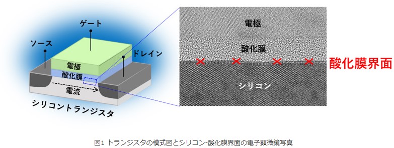 図1　トランジスタの模式図とシリコン-酸化膜界面の電子顕微鏡写真